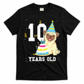 10 Years Old Birthday Pug Dog Lover Party Kids Boy Girl product image 1