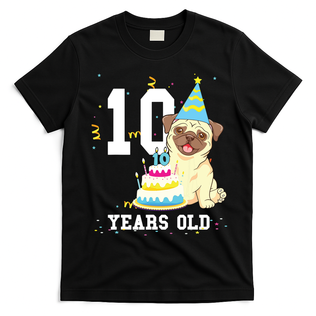 10 Years Old Birthday Pug Dog Lover Party Kids Boy Girl product image 1