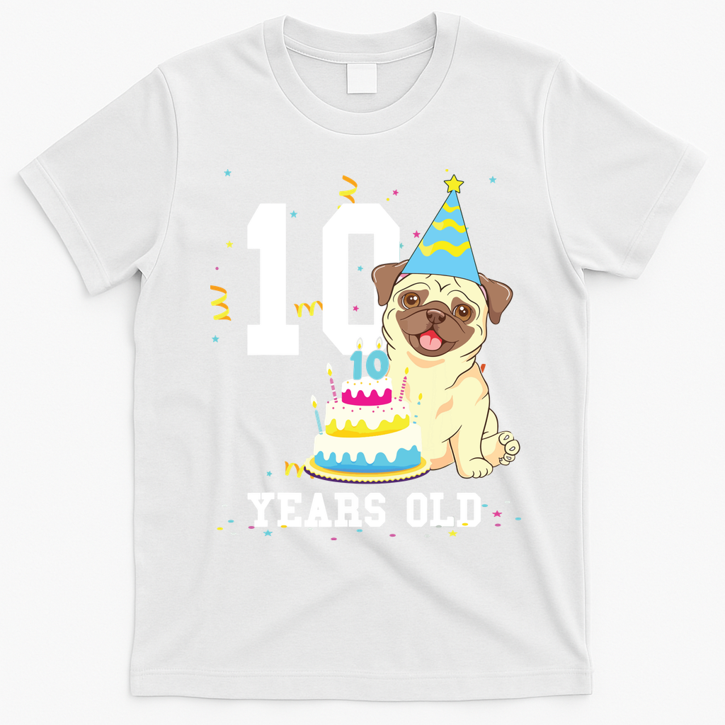 10 Years Old Birthday Pug Dog Lover Party Kids Boy Girl product image 4