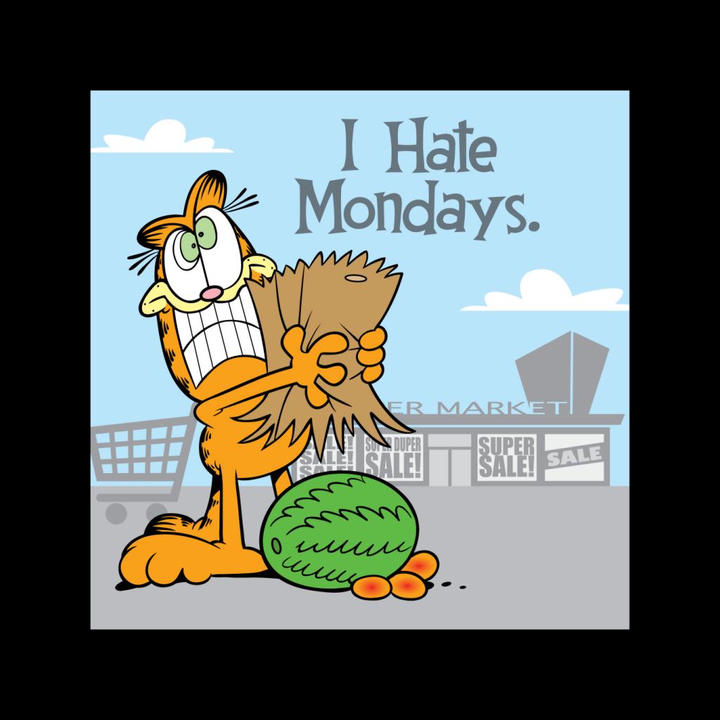 Garfield Grocery Shopping Hate Mondays Kid's Sweatshirt product image 2