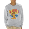 Garfield All Around Sports Star Kid's Sweatshirt product image 1