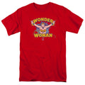 Dc - Flying Through Adult Regular Fit Short Sleeve product image 1