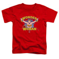 Dc - Flying Through Toddler Short Sleeve product image 1
