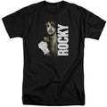 Rocky - Painted Adult Tall Fit Short Sleeve product image 1