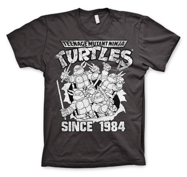 Teenage Mutant Ninja Turtles - TMNT Distressed Since 1984 product image 1