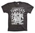 Teenage Mutant Ninja Turtles - TMNT Distressed Since 1984 product image 1
