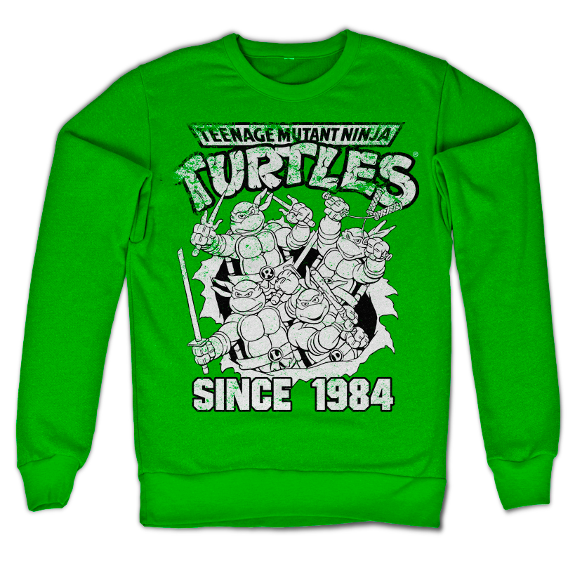 Teenage Mutant Ninja Turtles - TMNT Distressed Since 1984 product image 1