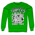 Teenage Mutant Ninja Turtles - TMNT Distressed Since 1984 product image 1