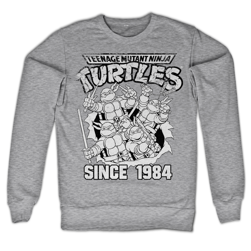 Teenage Mutant Ninja Turtles - TMNT Distressed Since 1984 product image 2