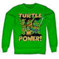 Teenage Mutant Ninja Turtles - TMNT - Turtle Power! product image 1