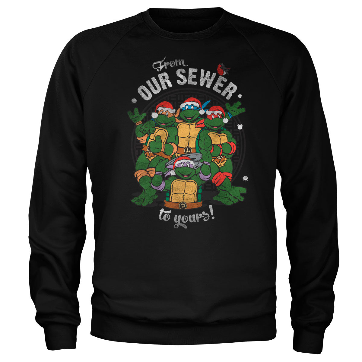 Teenage Mutant Ninja Turtles - From Our Sewer To Yours! product image 1