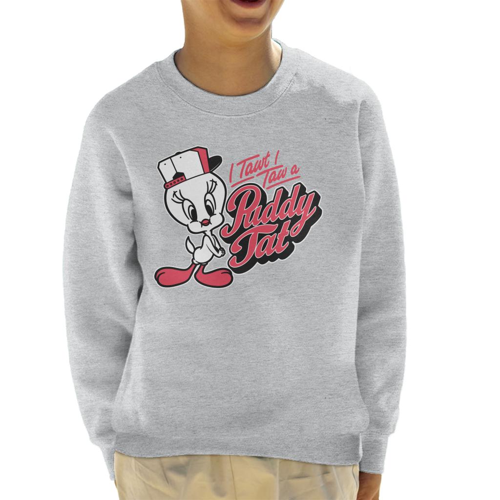 Looney Tunes Tweety Baseball Puddy Tat Kid's Sweatshirt product image 1