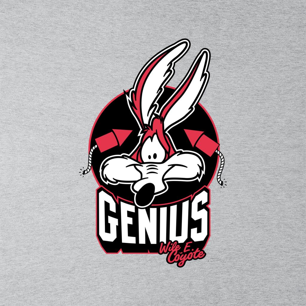 Looney Tunes Wile E Coyote Genius Rockets Women's Sweatshirt product image 2