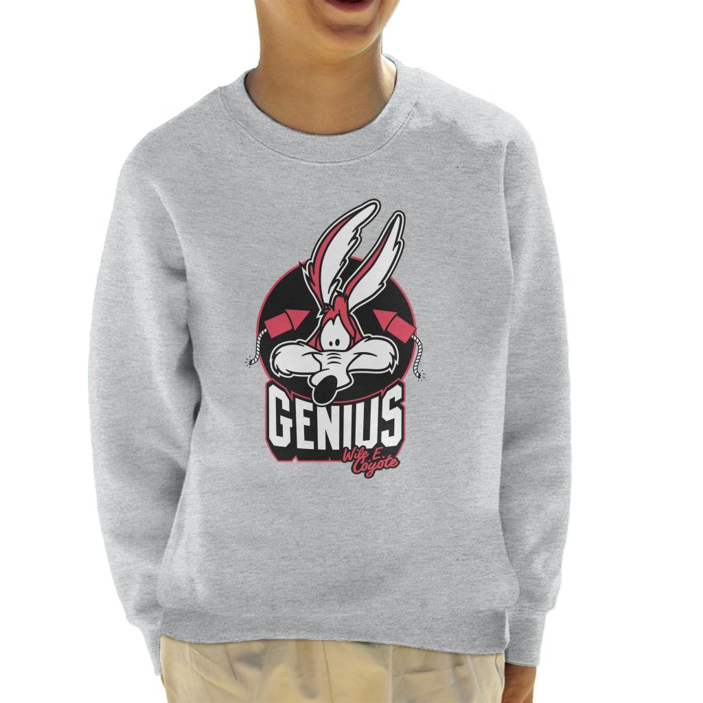Looney Tunes Wile E Coyote Genius Rockets Kid's Sweatshirt product image 1