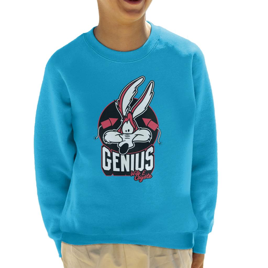 Looney Tunes Wile E Coyote Genius Rockets Kid's Sweatshirt product image 4