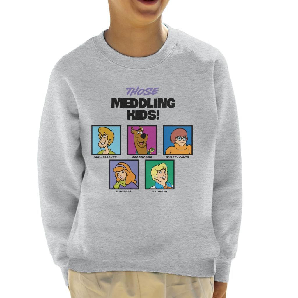 Scooby Doo Those Meddling Kids Character Tiles Sweatshirt product image 1