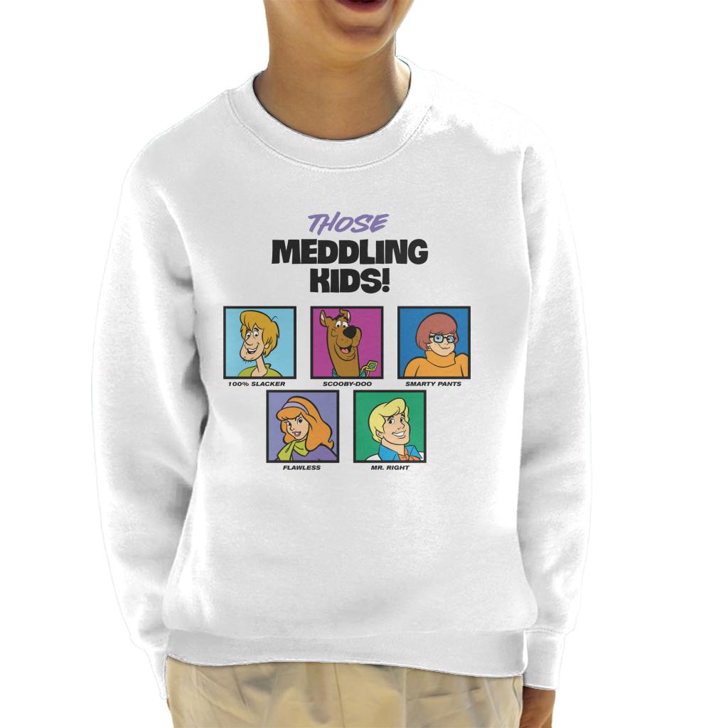 Scooby Doo Those Meddling Kids Character Tiles Sweatshirt product image 4