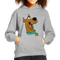Scooby Doo Collar Smile Kid's Hooded Sweatshirt product image 1