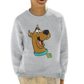 Scooby Doo Collar Smile Kid's Sweatshirt product image 1