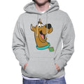 Scooby Doo Collar Smile Men's Hooded Sweatshirt product image 1