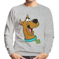 Scooby Doo Collar Smile Men's Sweatshirt product image 1